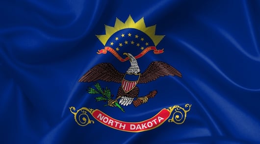 North Dakota Supreme Court Concludes State Constitution Protects the Right to Abortions to Preserve Life or Health